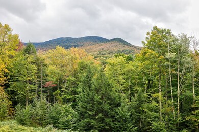 200 Bryan Rd, Stowe, VT 05672 - photo 4