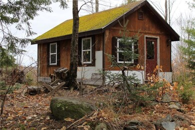 Rustic cabin near water