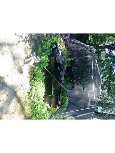 133 Adrian St, Warwick, RI 02886 - photo 4