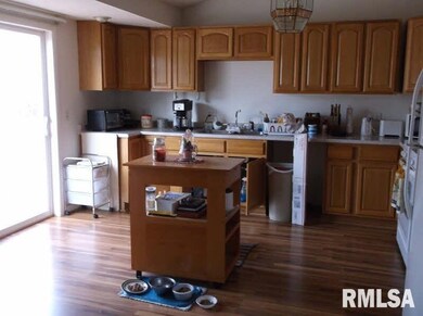 227 S Capitol St, Harrisburg, IL 62946 - photo 4