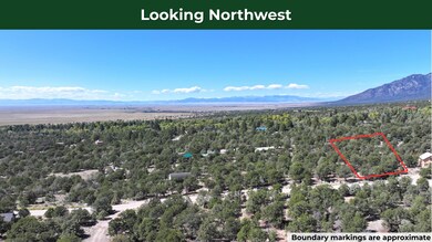 1915 Lone Pine Way, Crestone, CO 81131 - photo 5