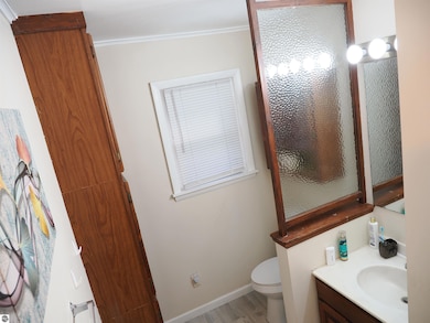 811 N River Ave, Alma, MI 48801 - photo 6