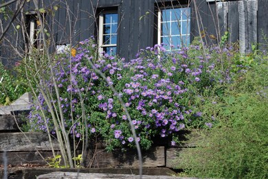 160 Soards Rd, Georgetown, KY 40324 - photo 5