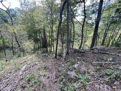 0 Hidden River Rd unit RTC3065326, Rock Island, TN 38581 - photo 3