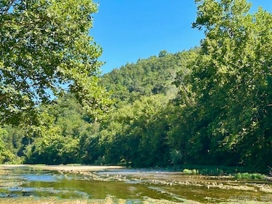 000 Grandpa Jones Rd, Mountain View, AR 72560 - photo 4