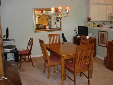 851 Havenshire Rd unit 3, Naperville, IL 60565 - photo 3