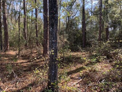 Lot 43 Klickitat Dr unit 3, Crawfordville, FL 32327 - photo 2