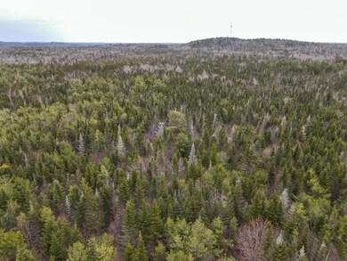 DJI_0939