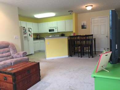 8457 Grand Trevi Dr unit 4901, Louisville, KY 40228 - photo 3