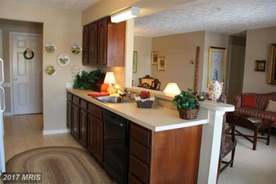 2406 Forest Edge Ct unit 204, Odenton, MD 21113 - photo 5