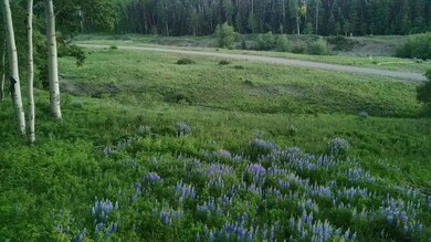 IMG_03_20190705_203518170