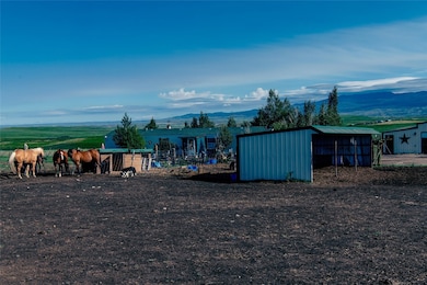 horses and 3 sided shed