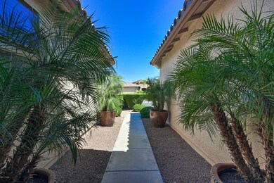 341 W Leatherwood Ave, San Tan Valley, AZ 85140 - photo 6