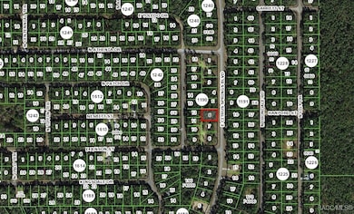 1471 E Citrus Springs Blvd, Citrus Springs, FL 34434 - photo 3