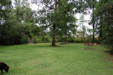 36 Creek Forest Ln, Conroe, TX 77384 - photo 5