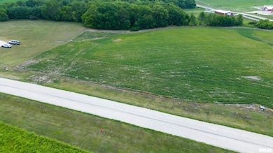 2103 Olof Krans Ave, Galva, IL 61434 - photo 2