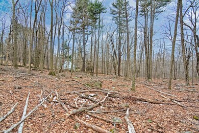 0 Warren Rd L:1 unit 72602864, Brimfield, MA 01010 - photo 2