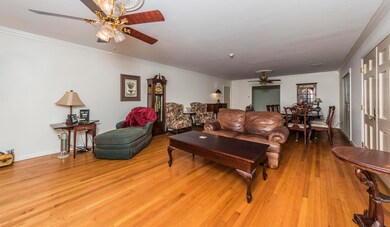 Living Room 2