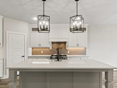 1435 Lakeside Trail, Whitney, TX 76692 - photo 4