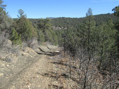 trail leading into property