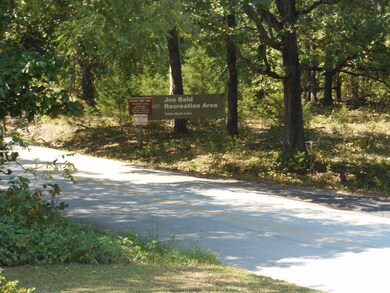 182 Pink Dogwood Trail, Kimberling City, MO 65686 - photo 4