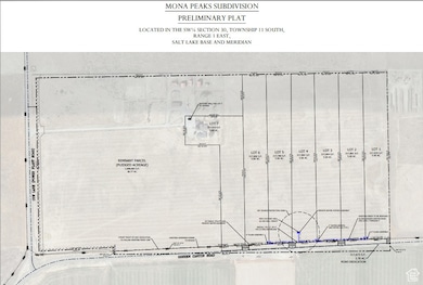 1122 N Goshen Canyon St, Mona, UT 84645 - photo 6