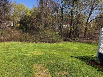 Back Yard 2