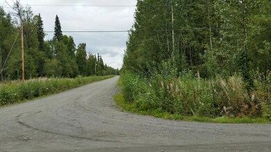 another view of the corner lot on Vintag
