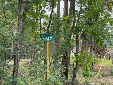 715 Creek Crossing, Magnolia, TX 77355 - photo 6