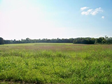 8 Mill Rd, Lebanon, TN 37090 - photo 2