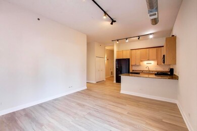 910 W Madison St unit 409, Chicago, IL 60607 - photo 3