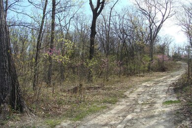 60 Bridle Trail Dr, Calvey Township, MO 63072 - photo 4