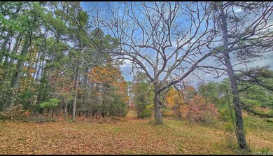 000 Elba Rd, Clinton, AR 72031 - photo 4