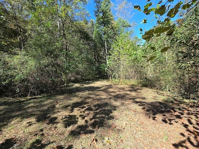 0 Newells Run Rd, Marietta, OH 45750 - photo 6