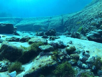 Underwater - Rainbow River