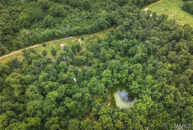 29405 Highway 63, Edgar Springs, MO 65462 - photo 7