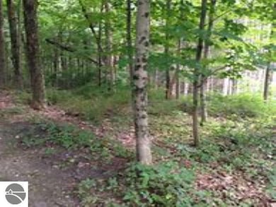 4169 Maple Hill Rd unit E, Blair Township, MI 49637 - photo 7