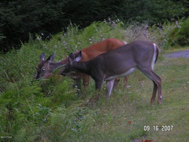 0 Aster Ln, Dingman Township, PA 18337 - photo 3