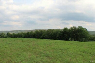 0 Saint Peters Rd unit Lot 4 497715, Andreas, PA 18211 - photo 4