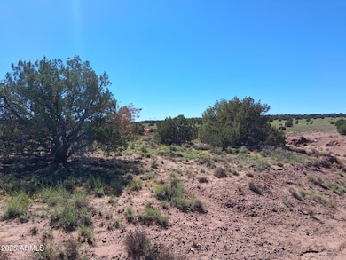 236 County Rd N9226 --, Concho, AZ 85924 - photo 5