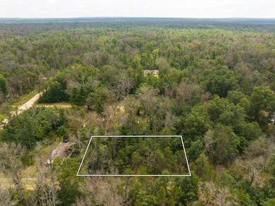 DJI_20240709083835_0120_D