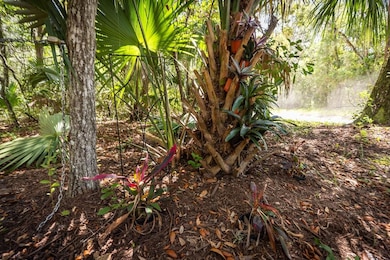 00 Pine Island Rd, Nocatee, FL 32081 - photo 3