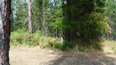 LOT 15 Hogan Way, Chewelah, WA 99109 - photo 5