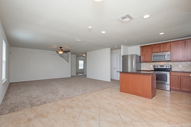 24246 Invitation Oak, San Antonio, TX 78261 - photo 4