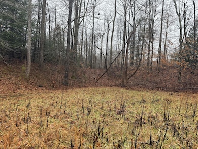 40 Forest Way Cir, Burnside, KY 42519 - photo 2