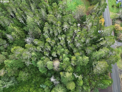 0 Prosper Junction Rd, Bandon, OR 97411 - photo 5