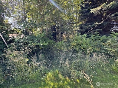 43 E Sycamore Rd, Coupeville, WA 98239 - photo 3