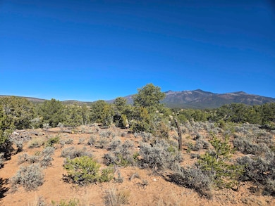 TBD Hondo Seco Rd, El Prado, NM 87529 - photo 2