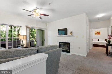 5103 Wagon Shed Cir, Owings Mills, MD 21117 - photo 4