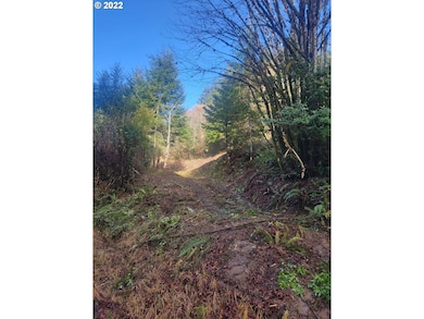 0 Pleasant Valley Rd unit 22531177, Myrtle Point, OR 97458 - photo 6